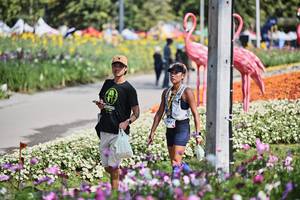 BIB: 
                            <button type="button" onclick="openModal(27794017)" class="btn btn-primary btn-sm float-right btn-popup" data-toggle="modal" data-target=".modal-high-quality">
                        <i class="fas fa-shopping-cart"></i> Add to Cart
                    </button>
                                            <button type="button" onclick="isThisMe(27794017, true)" class="btn btn-success btn-sm float-right btn-popup btn-isme hidden" data-toggle="tooltip" data-placement="bottom" title="นี่คือรูปของคุณใช่ไหม คลิกที่นี่เพื่อเอาเข้าอัลบั้ม">
                        <i class="fas fa-plus"></i> Add to album
                    </button>
                    <button type="button" onclick="isThisMe(27794017, false)" class="btn btn-warning btn-sm float-right btn-popup btn-isnotme hidden">
                        <i class="fas fa-ban"></i> Remove from album
                    </button>